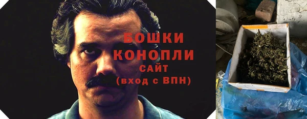 мдпв Волоколамск