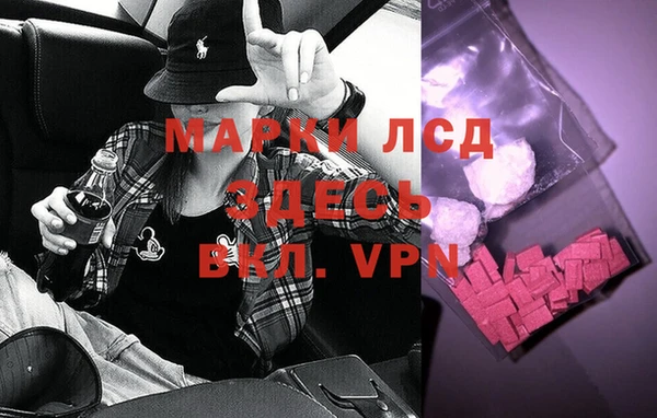 ПСИЛОЦИБИНОВЫЕ ГРИБЫ Струнино