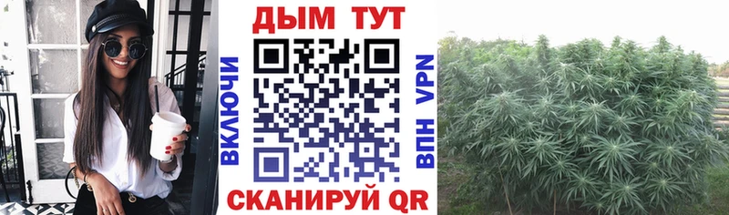 купить сайты Осташков Шишки марихуана ГИДРОПОН
